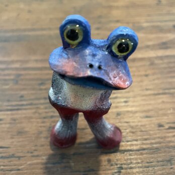 マダカエラナイの画像