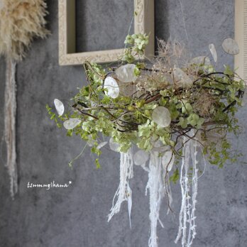 wreath [KASANE]№２　秋色アナベルとルナリアのフライングリース№２　　　ドライフラワーリース　　フライングリースの画像