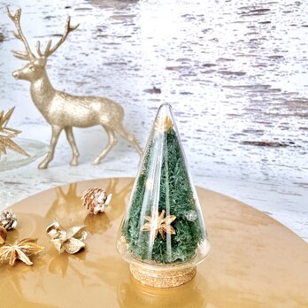ガラスドームのクリスマスツリー（Sサイズ）　/プリザーブドフラワー/クリスマス/の画像