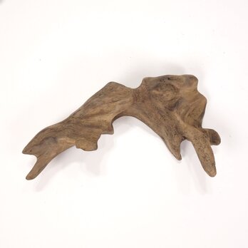 【温泉流木】コウモリのようなシルエットの変形流木 流木素材 インテリア素材 オブジェ レイアウトの画像