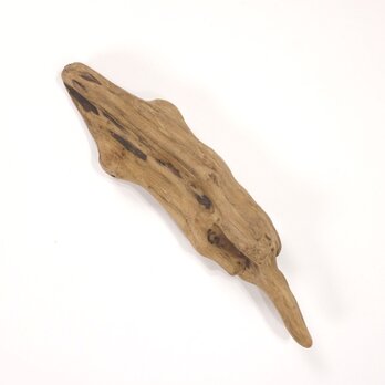 【温泉流木】平たく置くと小物も置ける丸穴のある変形流木 流木素材 インテリア素材 オブジェ レイアウトの画像