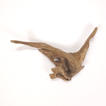 【温泉流木】シルエットが飛ぶ鳥のような変形流木 流木素材 インテリア素材 オブジェ レイアウトの画像