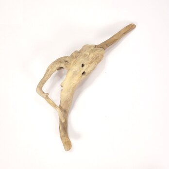 【温泉流木】バレリーナの足のように美しい根流木 流木素材 インテリア素材 オブジェ レイアウトの画像