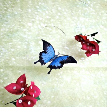 ブーゲンビリアと青い蝶の画像