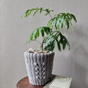 kiichigo plants pot cover Ｌ・グレージュの画像