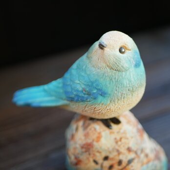青色の鳥 no.21の画像