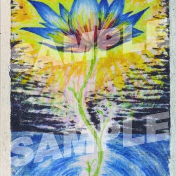 木のポストカード『幻の花』の画像