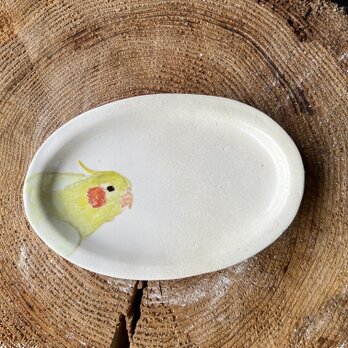 オカメインコ　オパール形　リム皿　プレートの画像
