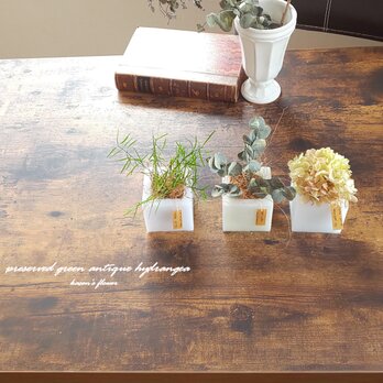 【3個セット】ワックスベースのインテリアグリーン　アンティークあじさい　観葉植物　風　卓上グリーン