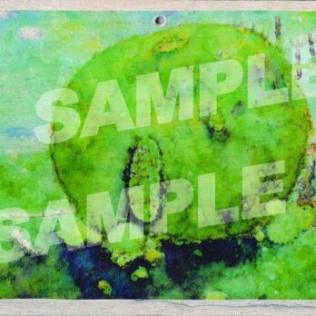 木のポストカード『こけいえ』の画像