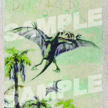 木のポストカード『ディモルフォドン』の画像