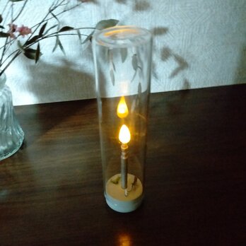 テチス海の記憶（ラクダさんと石油王）の画像