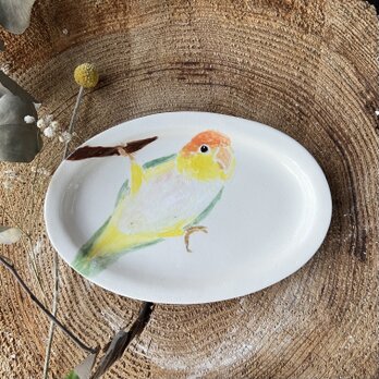 シロハラインコ　オパール形　リム皿　プレートの画像