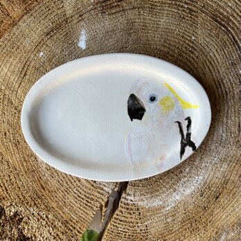 キバタン　オパール形　リム皿　プレートの画像