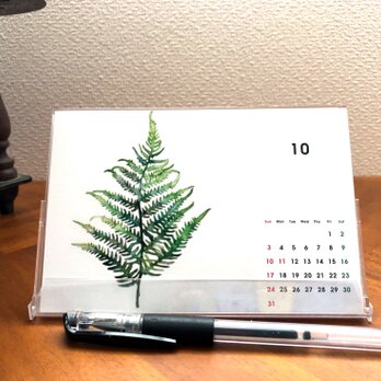 2024年カレンダー植物・草【ハードケース】＊送料無料の画像