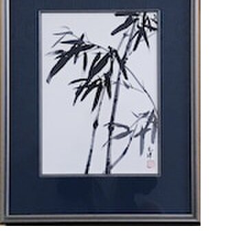 夜竹の画像