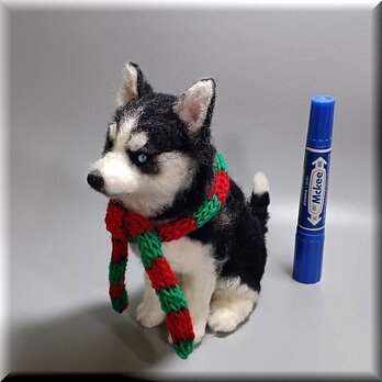 羊毛フェルト　犬　シベリアンハスキー　いぬ　イヌ　犬フィギュア　クリスマスの画像