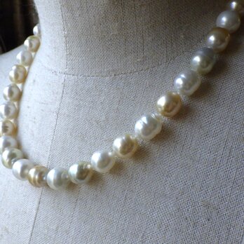 1点もの南洋真珠のネックレスの画像