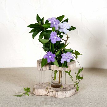 お気に入りの花を飾ってみませんか？　流木の花器、フラワーベース、一輪挿し、７０の画像
