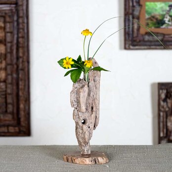お気に入りの花を飾ってみませんか？　流木の花器、フラワーベース、一輪挿し、６６の画像