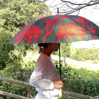 長傘（晴雨兼用）「カンナ」希望_レッドの画像