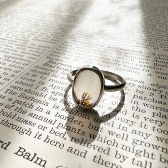 Dendritic Agate Ringの画像