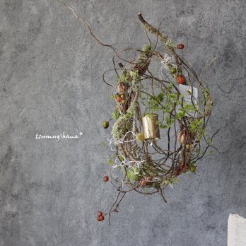 wreath「眠る森」　　苔と枝のリース　　　ドライフラワーリース　　吊り下げリースの画像