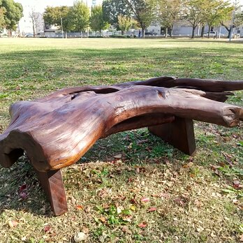 Artistic Driftwood Bench or Display Tableの画像