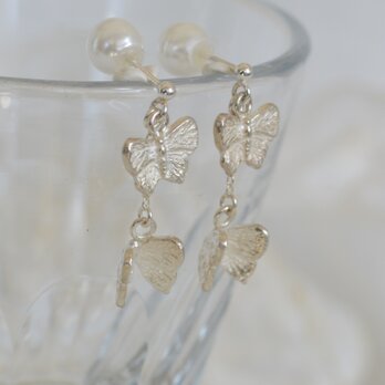 シジミチョウのピアス・SV