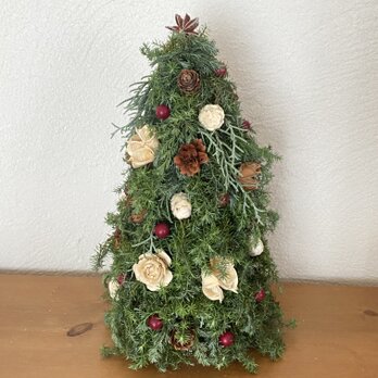 クリスマスツリー（大）の画像