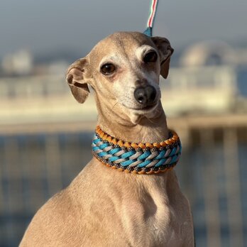 ウイペット、イタグレなど首の細い犬種用　ハーフチョーク　(内周２2cm　全内周２５ｃｍ)の画像