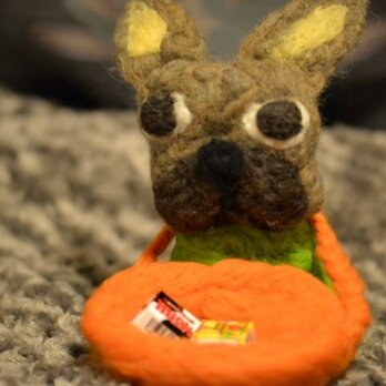 BUHIキャンディーボーイ（フォーン）