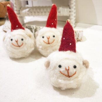 サンタラムキン　red　fluffy lambkinの画像