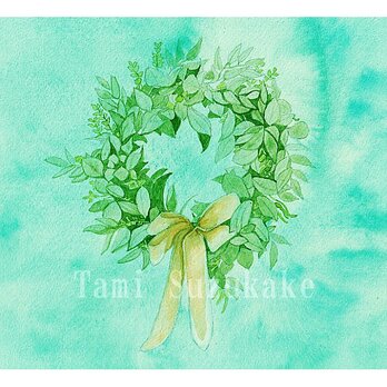 水彩原画「オリーブの葉のリース」の画像