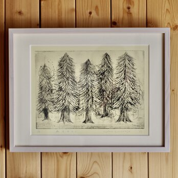 「森をあるく」額付き　紙版画　の画像