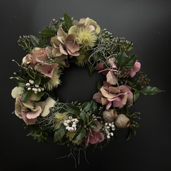 ビバーナムティヌスと紫陽花のリースの画像