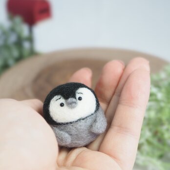 【受注製作】まゆペンギンのひな -薄目orぱっちりおめめ-　羊毛フェルトの画像