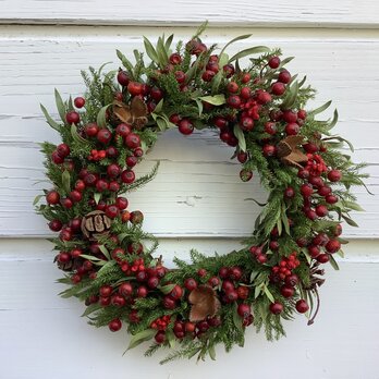 八ヶ岳〜ノイバラと木の実Wreath Sサイズの画像