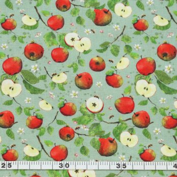 ドイツ acufactum プリント生地【20cm切り売り】りんごの収穫　アップル 林檎　リンゴ　ファブリックの画像
