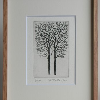 二本の樹・2023/銅版画（額あり）の画像