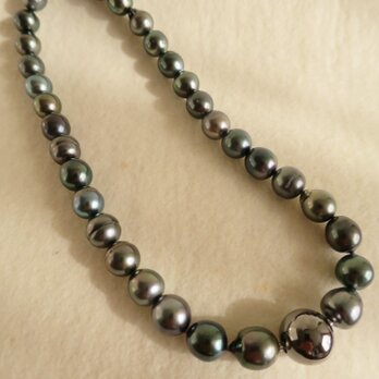 Tahitian Pearl　Necklaceの画像