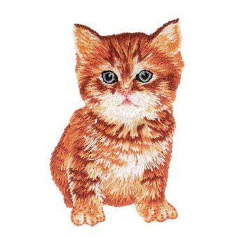 アップリケワッペン キャット レッドタビー W-1659 猫 ねこ トラ猫の画像