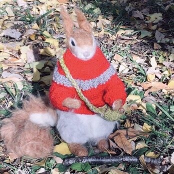 羊毛フェルトの赤いセーターを着たキタリスA リアルサイズの画像