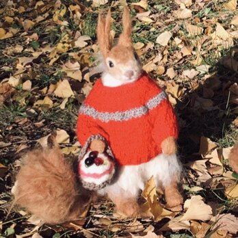 羊毛フェルトの赤いセーターを着たキタリスB　リアルサイズの画像
