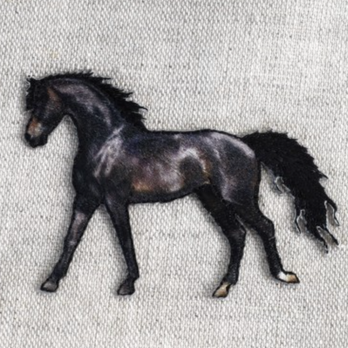 アップリケワッペン サラブレッド プリント ブラック ST w-2220 黒馬　ホース　乗馬の画像