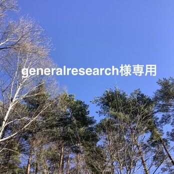 八ヶ岳〜generalresearch様オーダー作品2023の画像