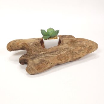 【温泉流木】おもちゃの飛行機のようなミニ鉢エアプランツスタンド ホルダー 木製 流木インテリアの画像