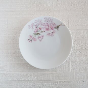 桜の小皿の画像