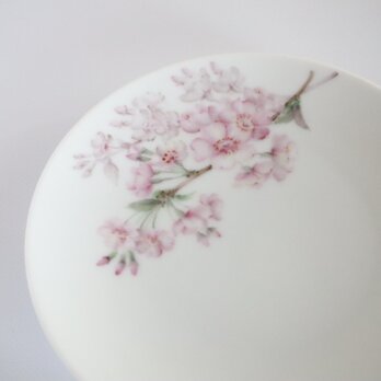 桜の小皿の画像