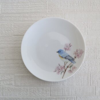 ルリビタキと桜の小皿の画像